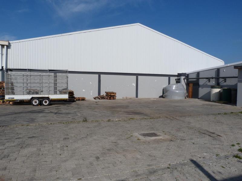 To Let commercial Property for Rent in Neave Industrial Eastern Cape